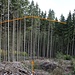 Špičák, Rasova rokle, Ende, Navigation der Fortsetzung durch Horizontpeilung