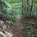 Abgebaute Malá Čertova zeď am Berg Zabitý
