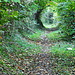 grüner Tunnel im Herbst