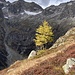 Herbstimpressionen beim Abstieg von der Sewenhütte