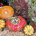 Es wird herbstlich