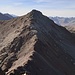 Blick vom Corno Foscagno zum Monte Forcellina; links im Hintergrund Piz Palü und Piz Bernina