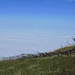 Gipfelaufstieg Rigi Kulm: Blick in die endlose Weite eines Nebelmeers.