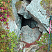 Im Oberbärgli findet man viele Höhlenartige Löcher die mehrere Meter tief sind.