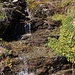 schmuckes Rinnsal