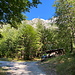 Im Abstieg zwischen Welser Hütte und Almtaler Haus - An der Talstation der Materialseilbahn der Welser Hütte werden wieder Forstpisten erreicht.