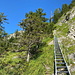 Im Abstieg zwischen Welser Hütte und Almtaler Haus - "Rückblick nach oben" über die lange Metalltreppe am Wiesinger Eck.