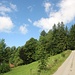 dann hier links hinauf in den Wald