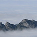 Die Goggeien umgeben vom Nebelmeer
