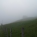 Im Nebel bei Hinterschlatt, oberhalb Ennetbühl