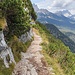 Abstieg vom Sorapis-See zum Passo Tre Croci - schaut gar nicht überlaufen aus