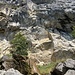 ... zum Schleier-Wasserfall; hier sind die schwierigsten Kletterrouten anzutreffen