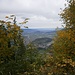 Blick ins Rheintal aus dem Herbstwald