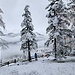 Winterlich verschneit: Der lohnende Aussichtspunkt "Sur Mottas"
