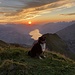 genialer Sonnenuntergang - mit Hund