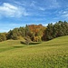 Herbstliches Naturschutzgebiet "Obere Öschle"