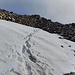 Aufstieg zum Fernerköpfl - über ein kurzes Schneefeld 