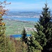 Hüttner- und Zürichsee