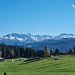 Verschneite Glarner Alpen vom Gottschalkenberg aus