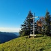 Gipfelkreuz Morgartenberg