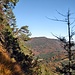 Blick zur Diessener Hütte 870m im Tal.