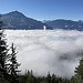 Ausblick übers Nebelmeer zum vorgestern begangenen Kitzbüheler Horn