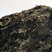 Vom Parkplatz auf Meereshöhe gerade noch so im Zoom sichtbar, der Gipfel des Pico de la Zarza (810m), den ich im Rahmen meines Canarian-7-Summit-Projektes bestiegen hatte ([tour161215 Pico de la Zarza (814m) - Höchster Berg von Fuerteventura]).