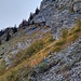 Markierungspfahl bei der Abzweigung auf 1230m zu den Follaplatten im Aufstieg zur Grube IV