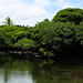 TAG 3 (30.10.):<br /><br />Der kleine Lac Marabout mit seinem mangrovengesäumtem Ufer ist ein kleines Juwel und man sollte ihn nicht vergessen zu besuchen wenn man Iconi, die alte Sultanenhautstadt von Bambao besucht.