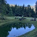 das Staldiseeli mit Spiegelung - im Hintergrund das Buochserhorn
