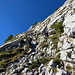 Im Aufstieg zur Pointe d’Arcalod - Hier über halbwegs gut gestuftes Kraxelgelände.