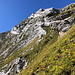 Im Abstieg von der Pointe d’Arcalod - Botanisch-felsiger Rückblick über die Ostflanke.