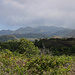 TAG 5 (1.11.): <br /><br />Aussicht in der Nähe des 659m hohen Passes der Strasse welche die West- mit der Ostküste vebindet nach Norden zu den Vulkanlandschaft La Grille. Die bis zu 1087m hohen Vulkankegel neben einen grossen Teil des nördlichen Inselinnern auf Grande Comore ein und sind teilweise dicht von Regenwald bewachsen und stecken oft in Wolken.
