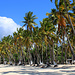 TAG 5 (1.11.):<br /><br />Wohl der schönste Strand auf den Komoren ist bei Maloudja, einem Vorort von Mitsamiouli an der Nordküste von Grande Comore.