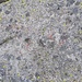 Auf einem Stein auf dem Stabeler Höhenweg sind Spuren der Schrift „V. Hornspitze“ zu sehen, im Aufstieg habe ich das übersehen und bin vorbei gegangen.<br />