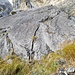 Klettergarten Lehmgruäb, Sektor Block, mit mehreren Routen (Schwierigkeitsgrad 4 bis 7a) von ca. 20m Länge. Erschliessung des steinschlaggefährdeten Klettergartens 2009/2022. Rechts der Felsspalt als einfachster Durchgang zur Grube II (2023)