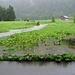 Es hat wirklich sehr fest geregnet. Denn das hier ist nicht der Klöntalersee ;-)<br /><br />Foto von Lorenz!