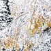 Birken-Kaskade: Erstaunlich viel Schnee dann ...