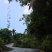 Tag 9 (5.11.):

Durch wunderschöne Plantagenlandschaft im Südwesten von Grande Comore fuhren wir zurück nach Moroni. Der Regen hatte nun auch in diesem Teil der Insel gestoppt, doch die Strassen waren noch nass.