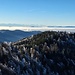 Über dem Nebelmeer das Berner Oberland und Berge im Raum Kandersteg. Gipfel im Schweizer Jura schauen gerade noch so aus dem Nebelmeer heraus.