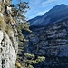 Mediterrane Kiefernvegation im oberen Bereich der Ferrata. Über der Schlucht wird der Monte Toc sichtbar und man kann auch recht gut den abgerutschten Felshang erkennen