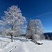 Winterliche Landschaft<br /><br />