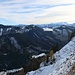 Die Gipfelflanke ist steil, aber sehr aussichtsreich.