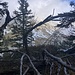 auf dem Hörnli - hier mit kurzem Blick durch die zuerst geschlossene Wolkenschicht