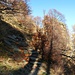 Naturtreppe auf dem Wanderweg zum Monte Gambarogno
