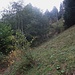Rückblick zum Hang, den ich via Variante III direkt herunterstieg