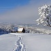 Rückblick, in Koblen verlasse ich die gepfadete Bergstrasse und versuche auf dem Wanderweg, auf einer Skispur, im 40-50 cm tiefen Schnee, dem Wanderweg zu folgen. 