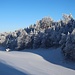 Winterliche Landschaft am Falkenstein.