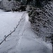 Viele Spuren, aber keine Tiere