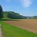 Auf dem reizvollen Talweg im unteren Ruedertal. Im Hintergrund ist bereits Schöftland zu erkennen. Am Horizont der Solothurner Jura und die Dampfwolke des AKW Gösgen.